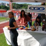 2012 dsWs