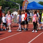 2012 dsWs