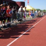 2012 dsWs