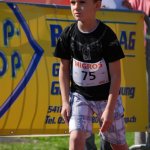 2012 dsWs