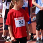 2012 dsWs