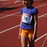 2012 dsWs