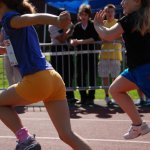 2012 dsWs