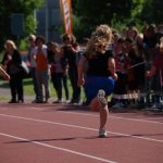 2012 dsWs