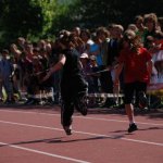 2012 dsWs