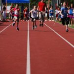 2012 dsWs