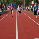 2012 dsWs