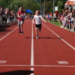2012 dsWs