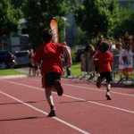 2012 dsWs