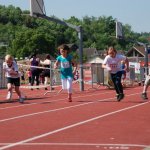 2012 dsWs