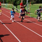 2012 dsWs