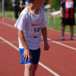 2012 dsWs