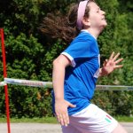 2012 dsWs
