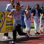 2012 dsWs