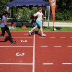 2012 dsWs