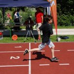 2012 dsWs