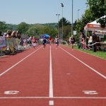 2012 dsWs