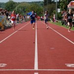 2012 dsWs