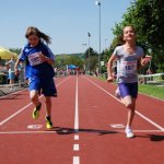 2012 dsWs