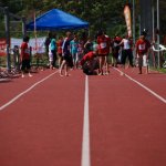 2012 dsWs