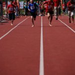 2012 dsWs