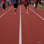 2012 dsWs
