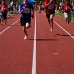 2012 dsWs