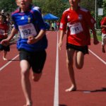 2012 dsWs