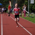 2012 dsWs