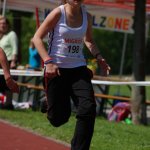 2012 dsWs