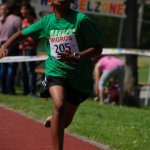 2012 dsWs