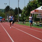 2012 dsWs