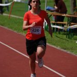 2012 dsWs