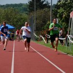 2012 dsWs