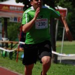 2012 dsWs