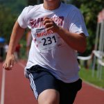 2012 dsWs