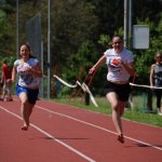2012 dsWs