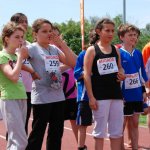 2012 dsWs