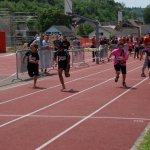 2012 dsWs