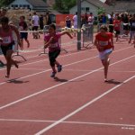 2012 dsWs
