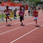 2012 dsWs