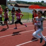 2012 dsWs