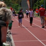 2012 dsWs