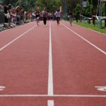 2012 dsWs
