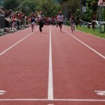2012 dsWs