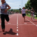 2012 dsWs