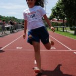 2012 dsWs