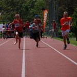 2012 dsWs