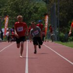 2012 dsWs