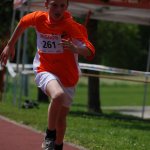 2012 dsWs